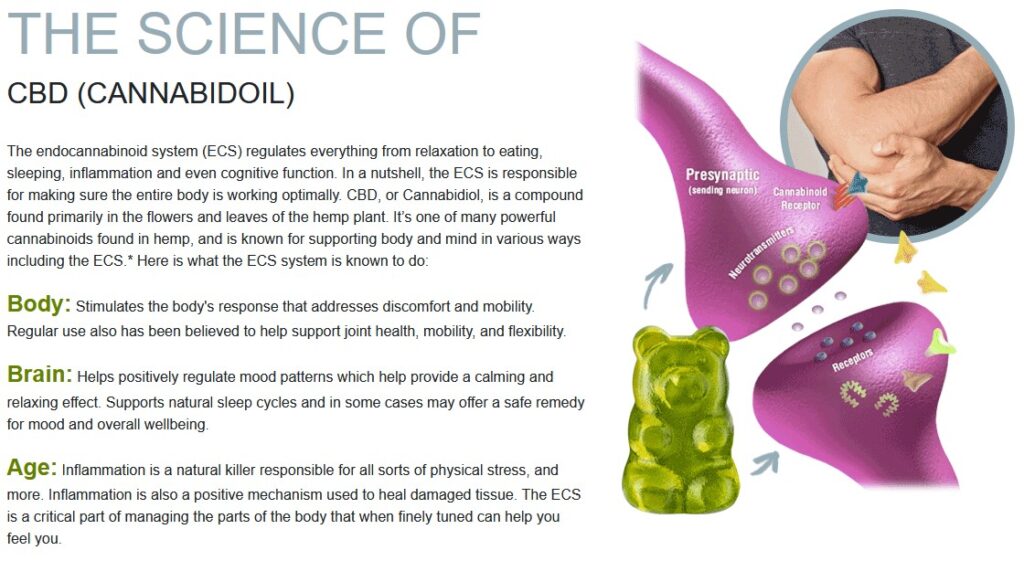 cannabinoid oil